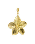 Bedel Hawaii bloem groot