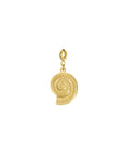 Bedel schelp ammoniet