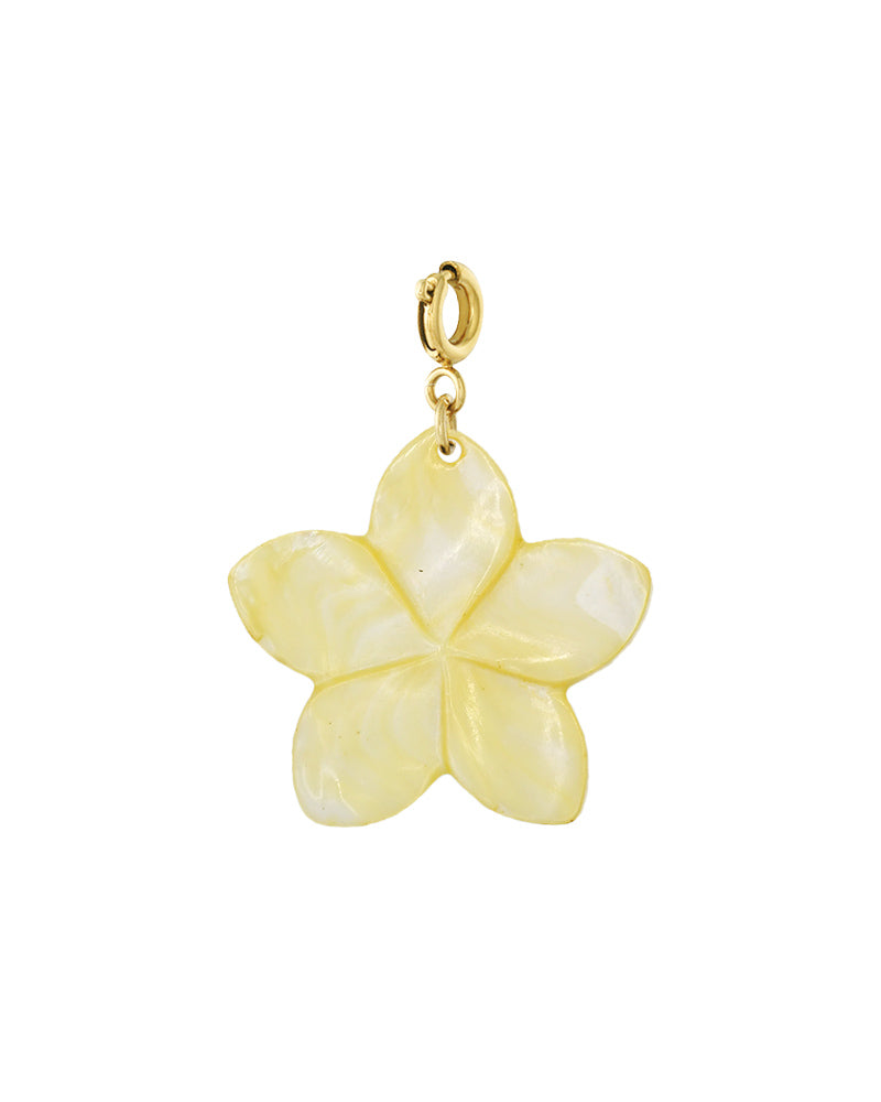 Bedel Hawaii bloem - Geel