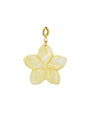 Bedel Hawaii bloem - Geel