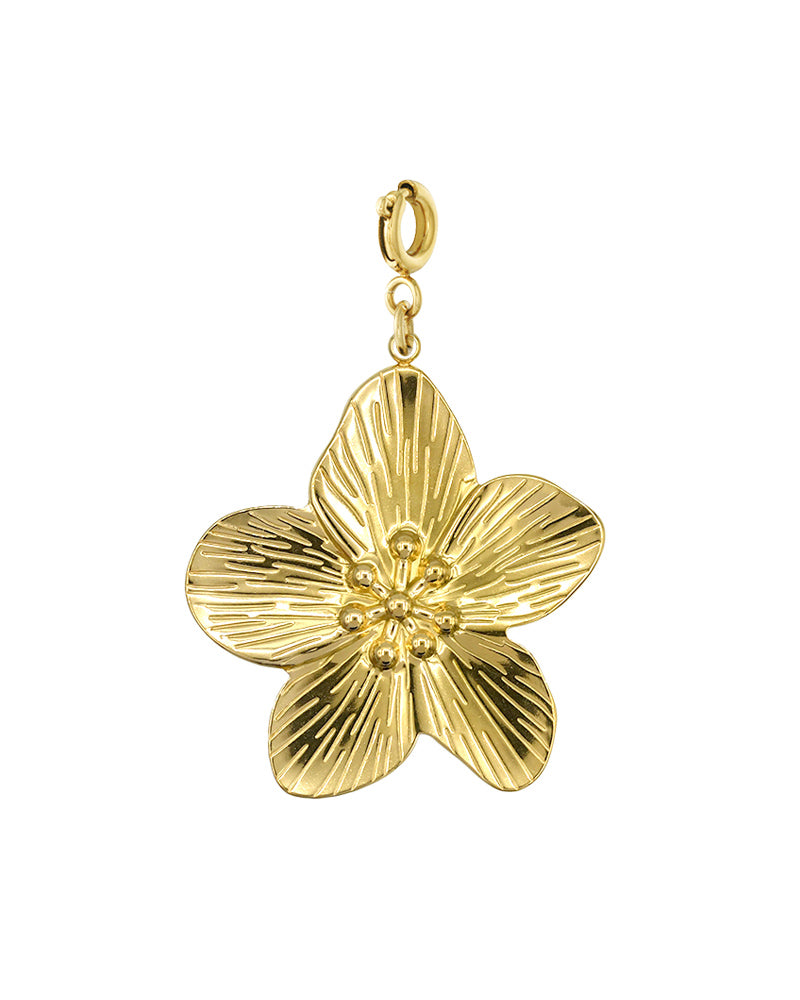 Bedel Hawaii bloem groot