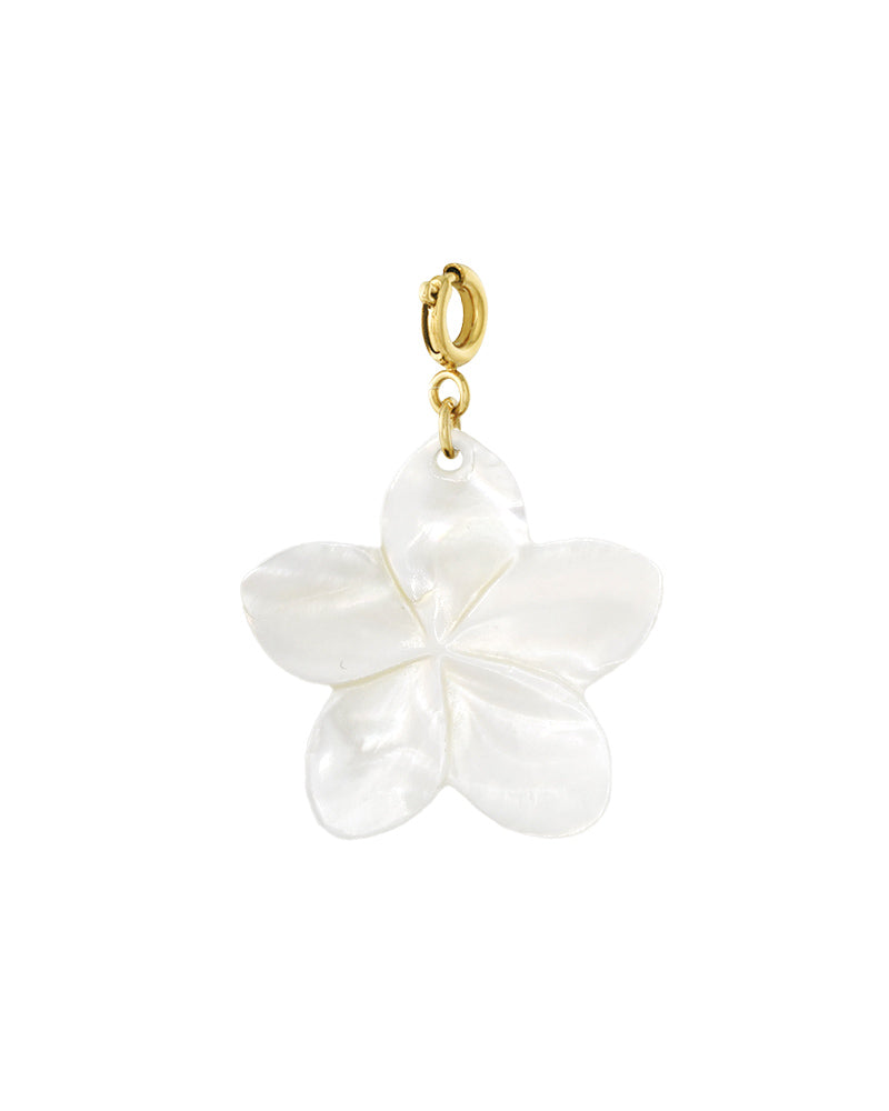 Bedel Hawaii bloem - Wit