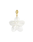 Bedel Hawaii bloem - Wit