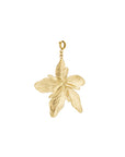Bedel 'Paradise Flower'