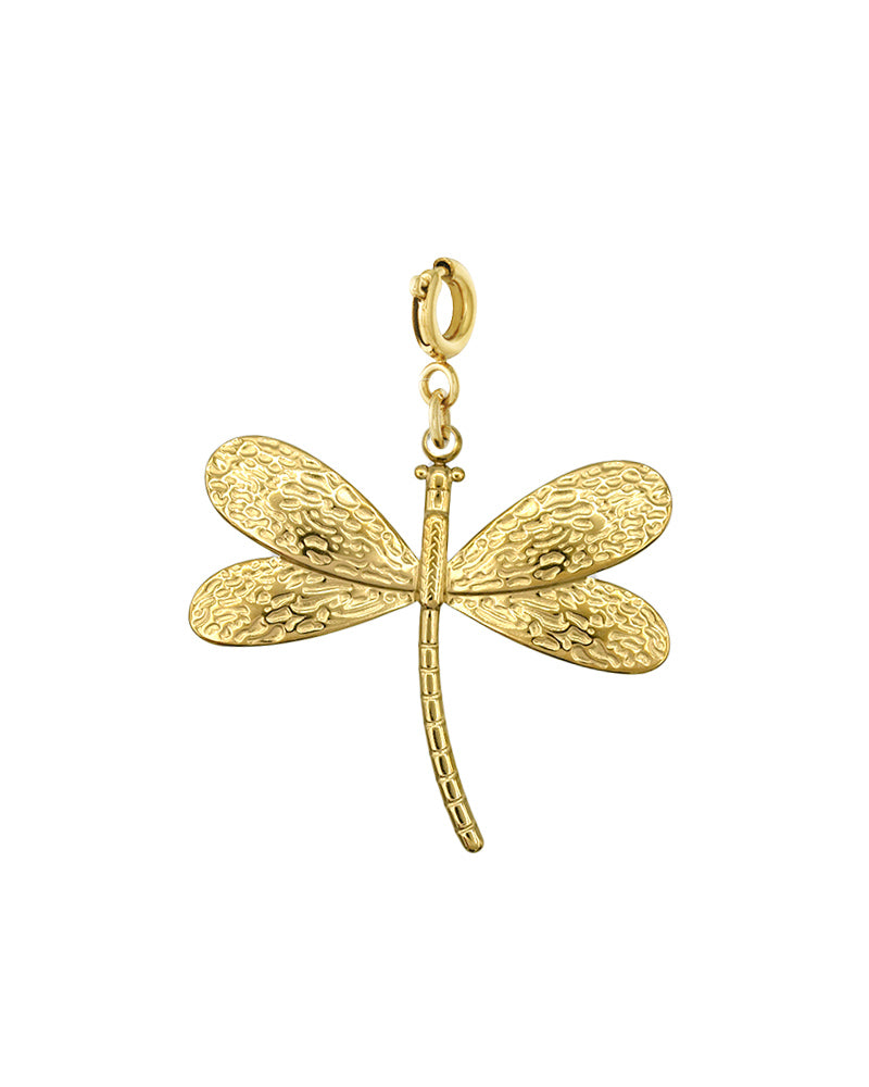 Bedel libelle