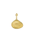 Bedel schelp