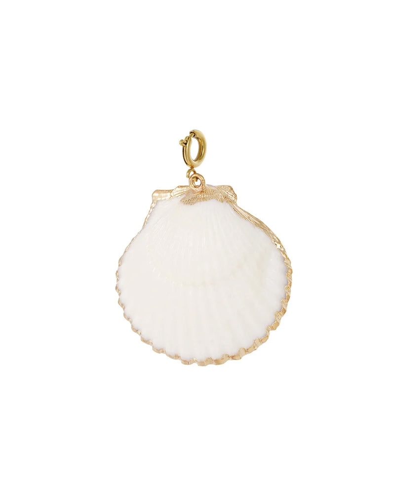 Bedel witte schelp